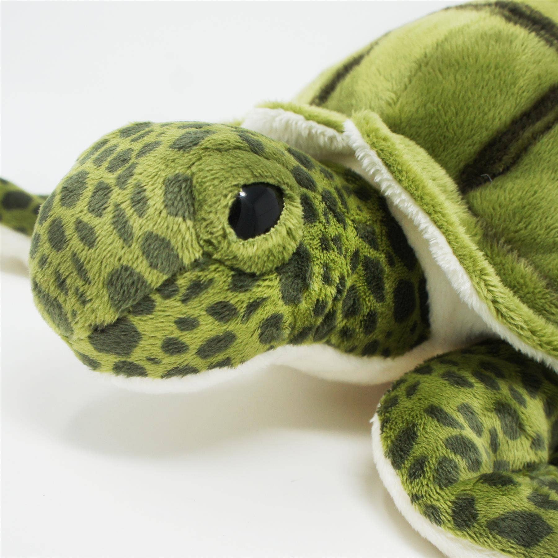 Turquoise The Green Sea Turtle 10"