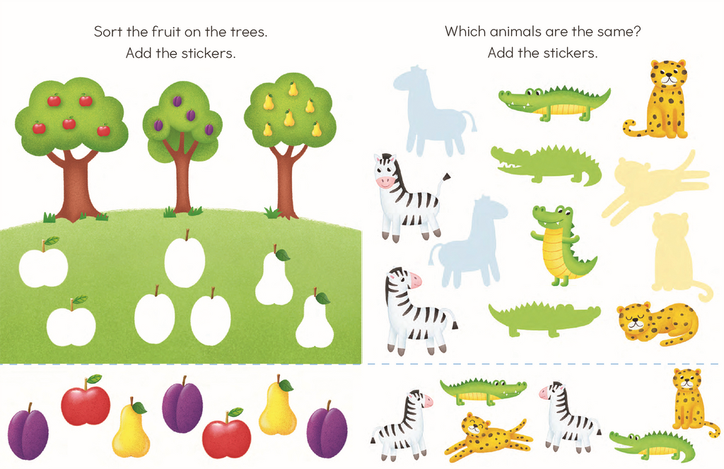 Motor Skills: Sorting