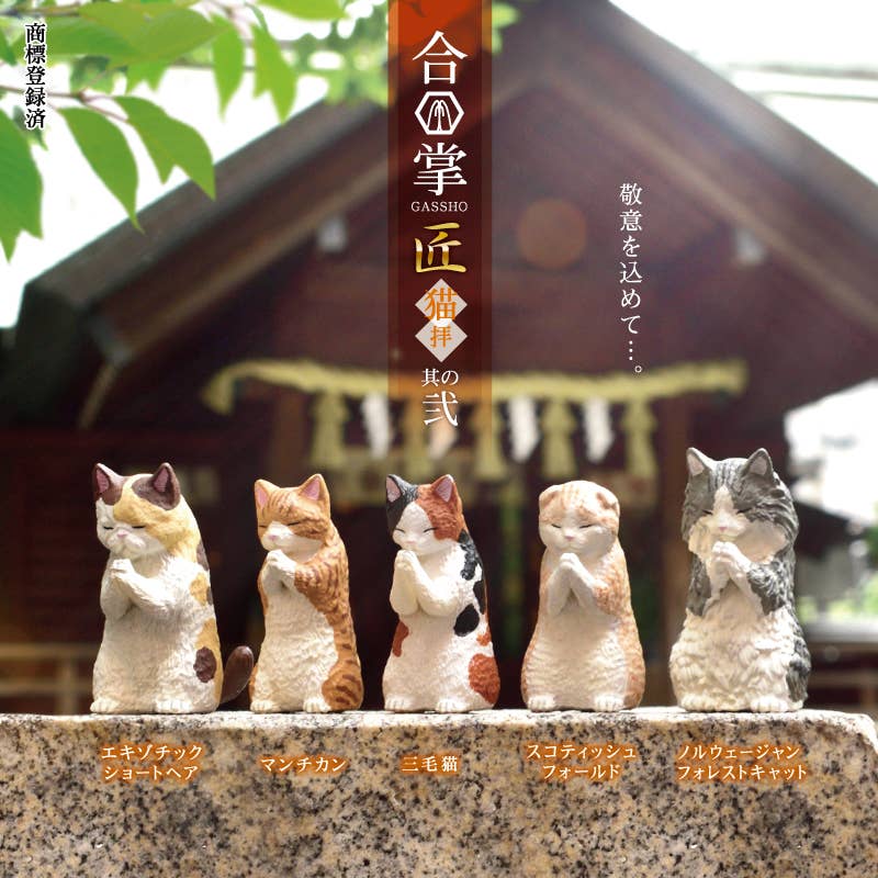 Surprise Box - Prayer Cat