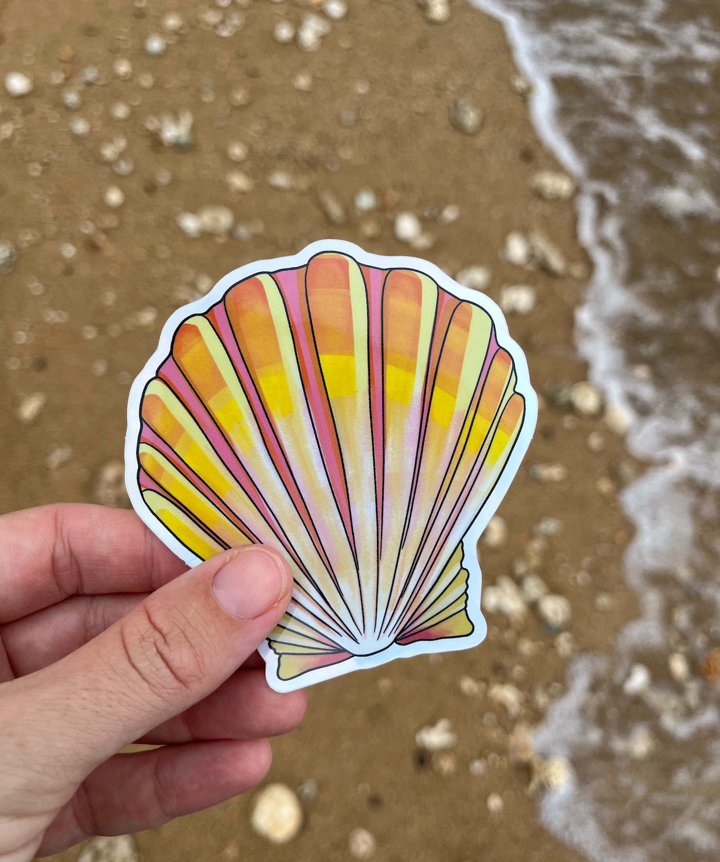 Sunrise Shell Sticker