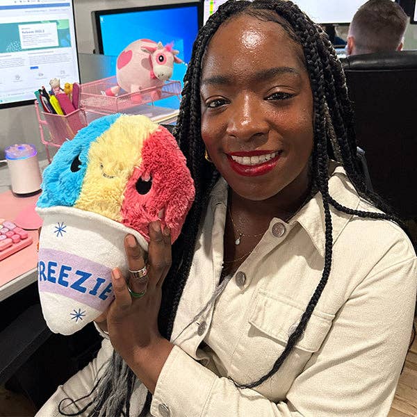 Mini Shaved Ice Plush