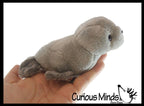 Cute Grey Harbor Seal Plush Stuffed Animals- Adorable
