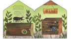 Bug Hotel