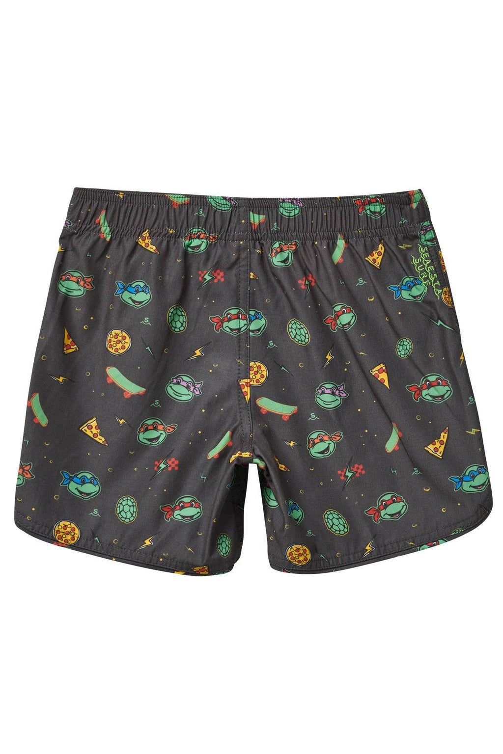 Seaesta Surf x Teenage Mutant Ninja Turtles® Turtle Power Boardshorts / Sewage Grey