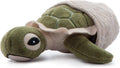 5" Baby Hatchling Turtle Plush