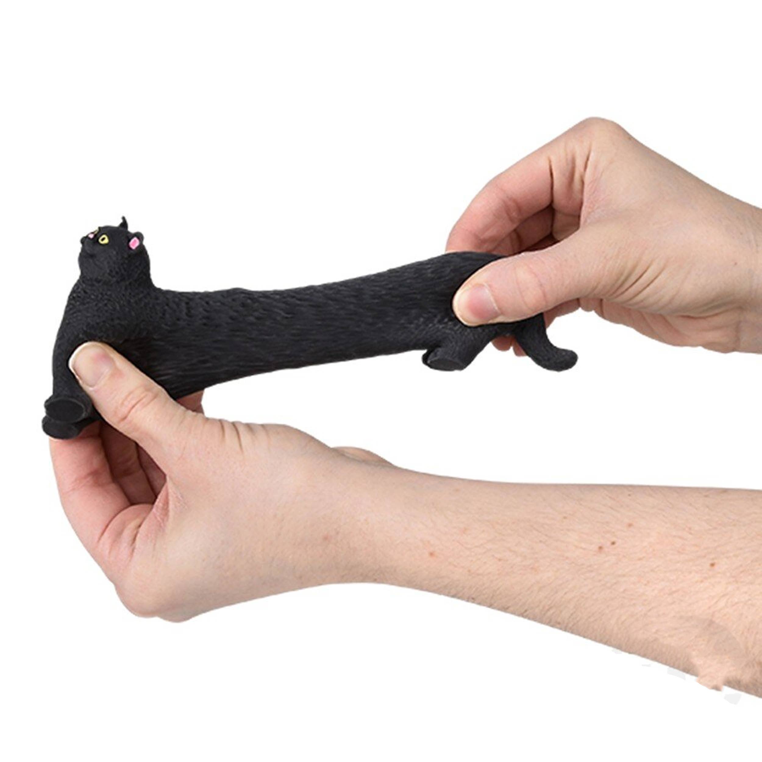Cat Soft Squeeze