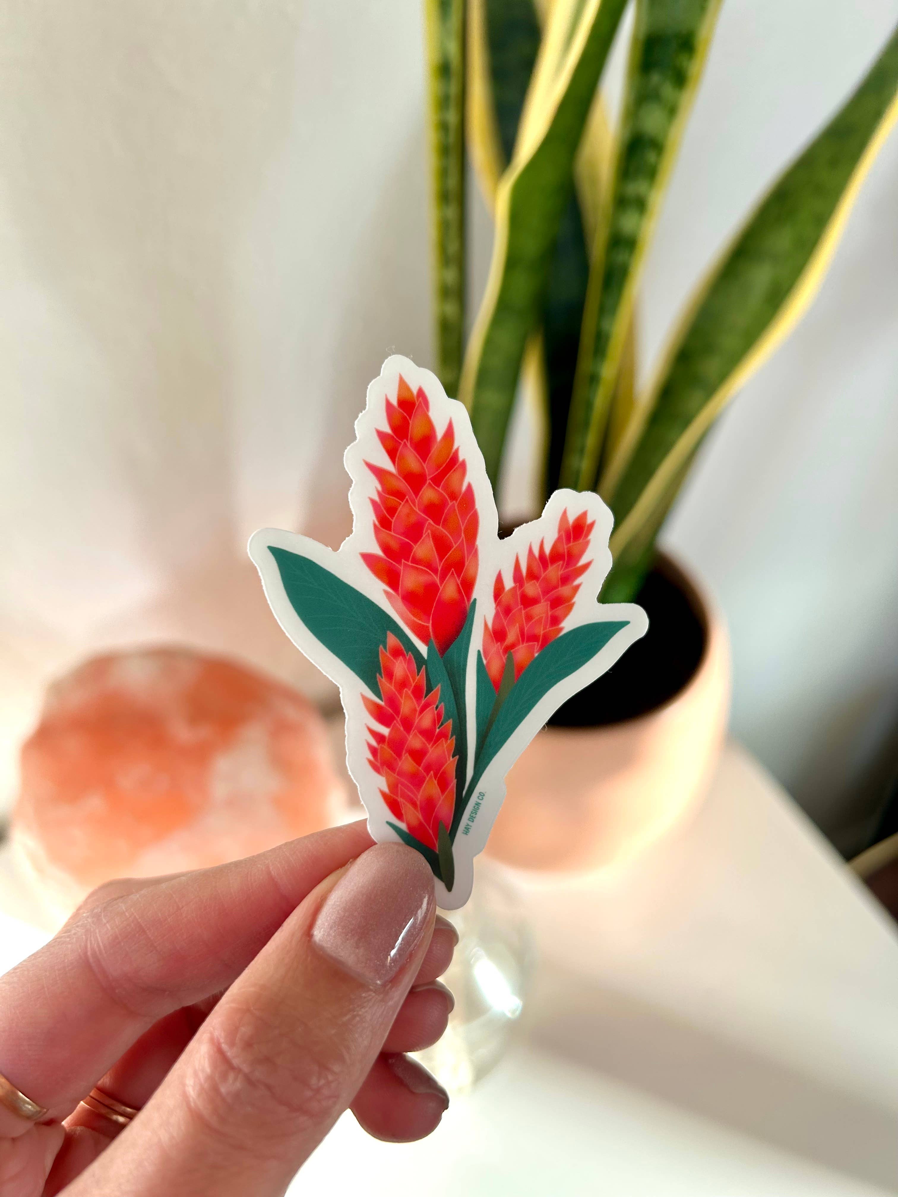 Awapuhi Sticker