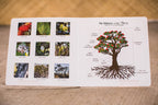 Ka Lehua: Hawaiian Book