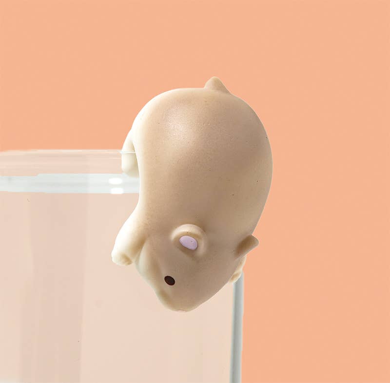 Surprise Box: Hanging Hamster
