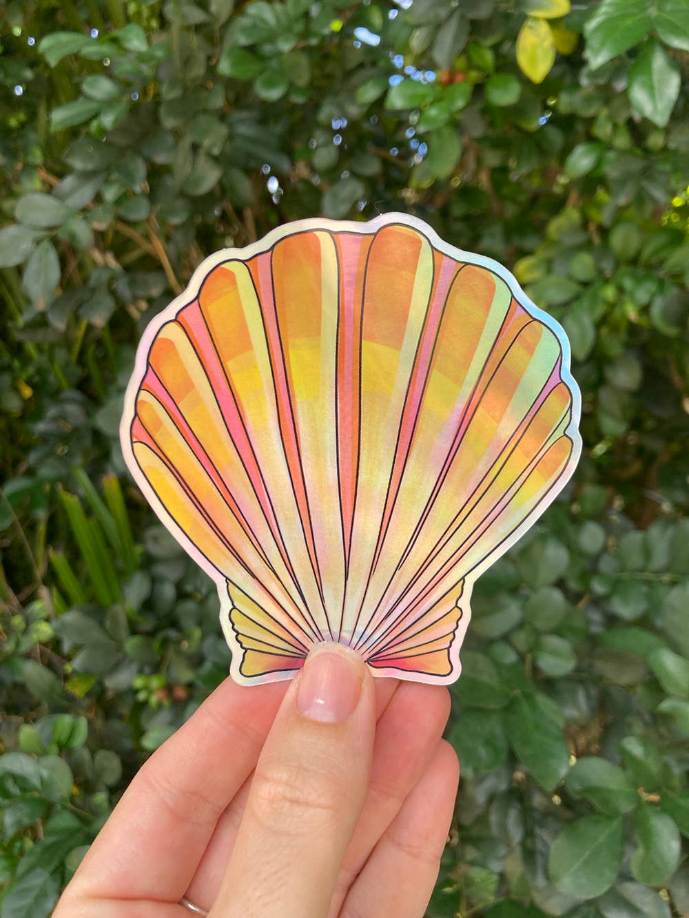 Sunrise Shell Sticker