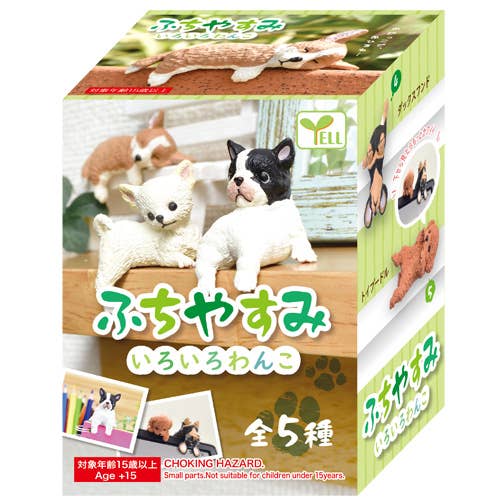Surprise Box - Resting Dog