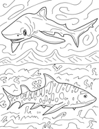 Fish of the Pacific Educational Coloring Book -