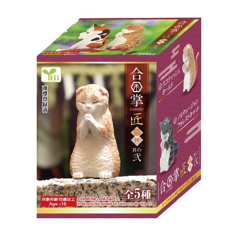 Surprise Box - Prayer Cat