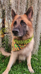 Flower Lei for Pets- Green Rose