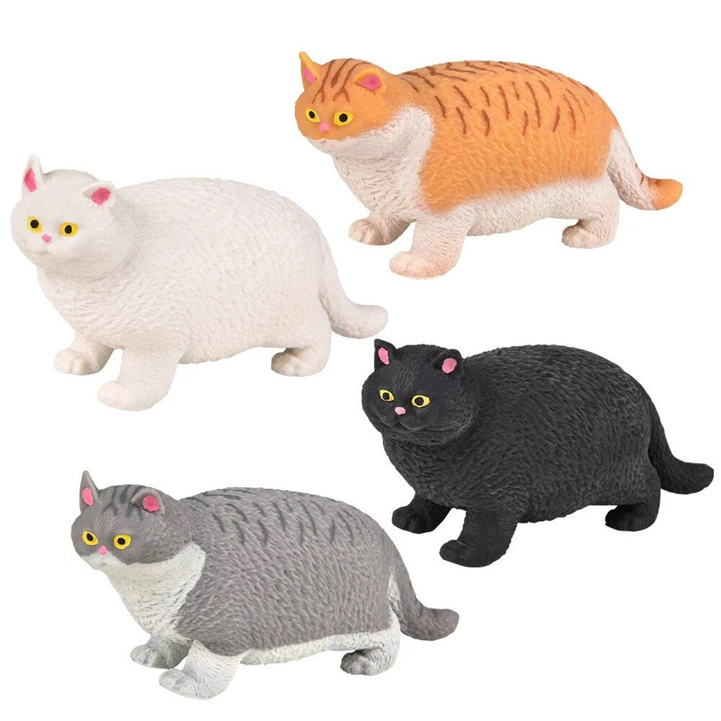 Cat Soft Squeeze