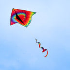 Tie Dye Delta with Spinning Tail