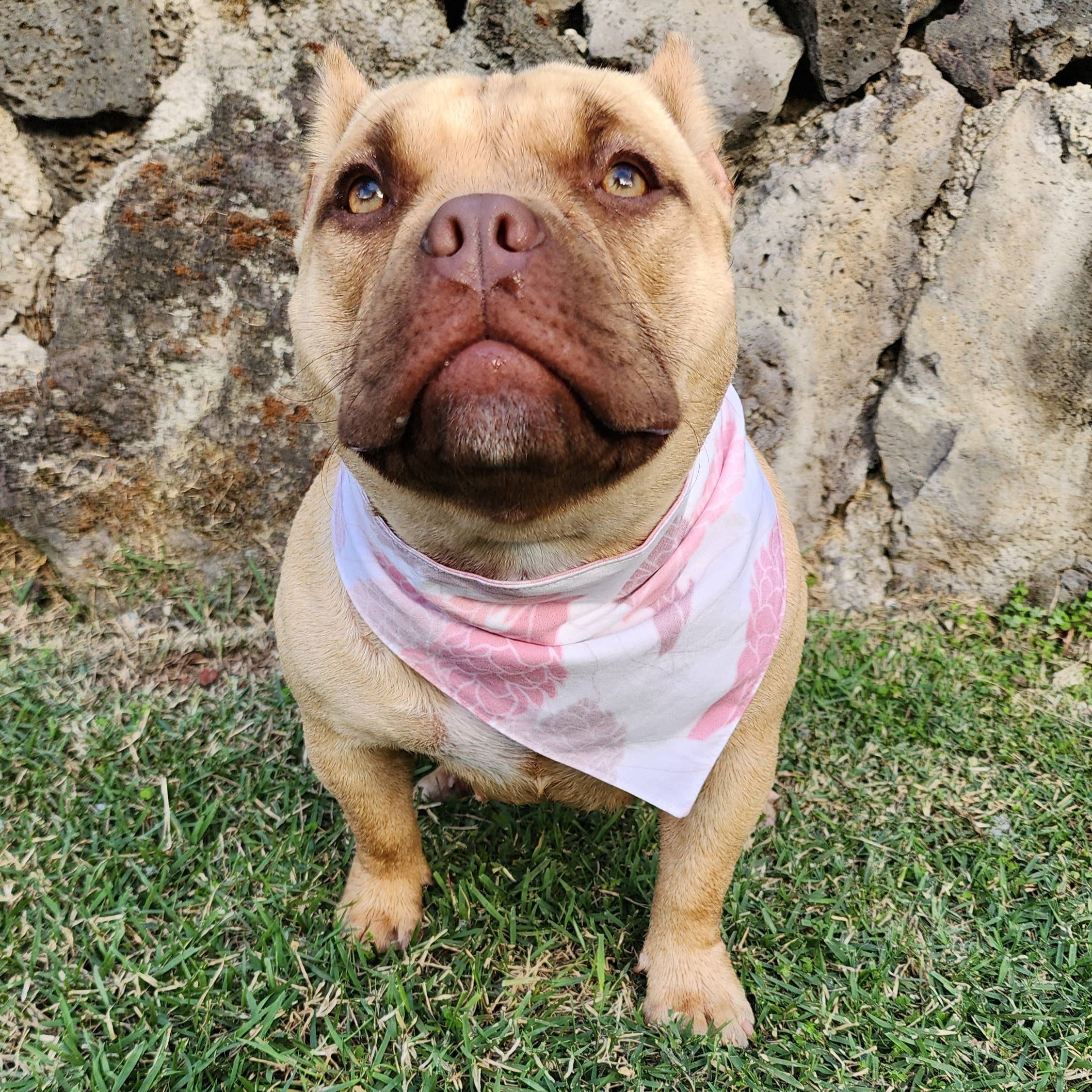 Pet Bandana- Mauve Lei Tuberose