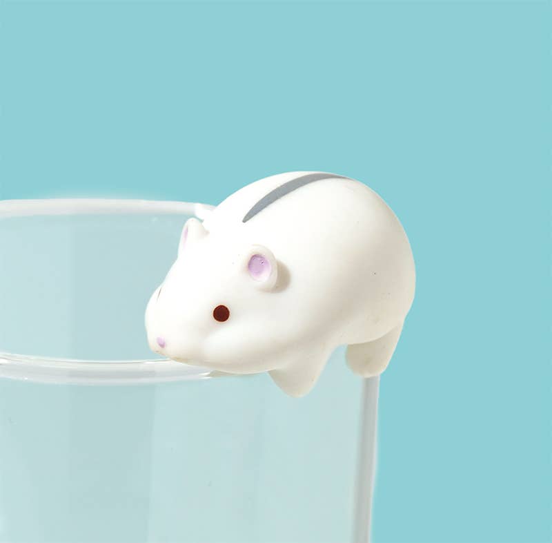 Surprise Box: Hanging Hamster