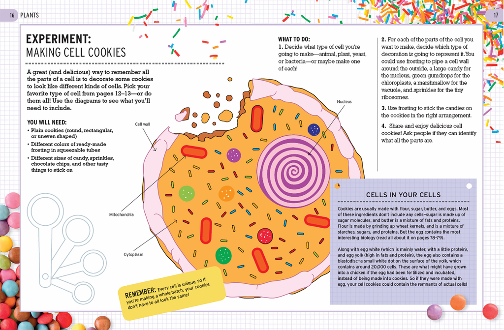The Curious World of Kitchen Science: The Biology of Bananas