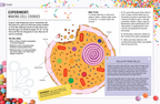 The Curious World of Kitchen Science: The Biology of Bananas