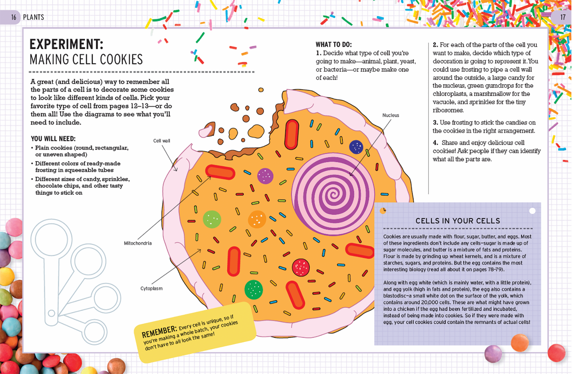The Curious World of Kitchen Science: The Biology of Bananas