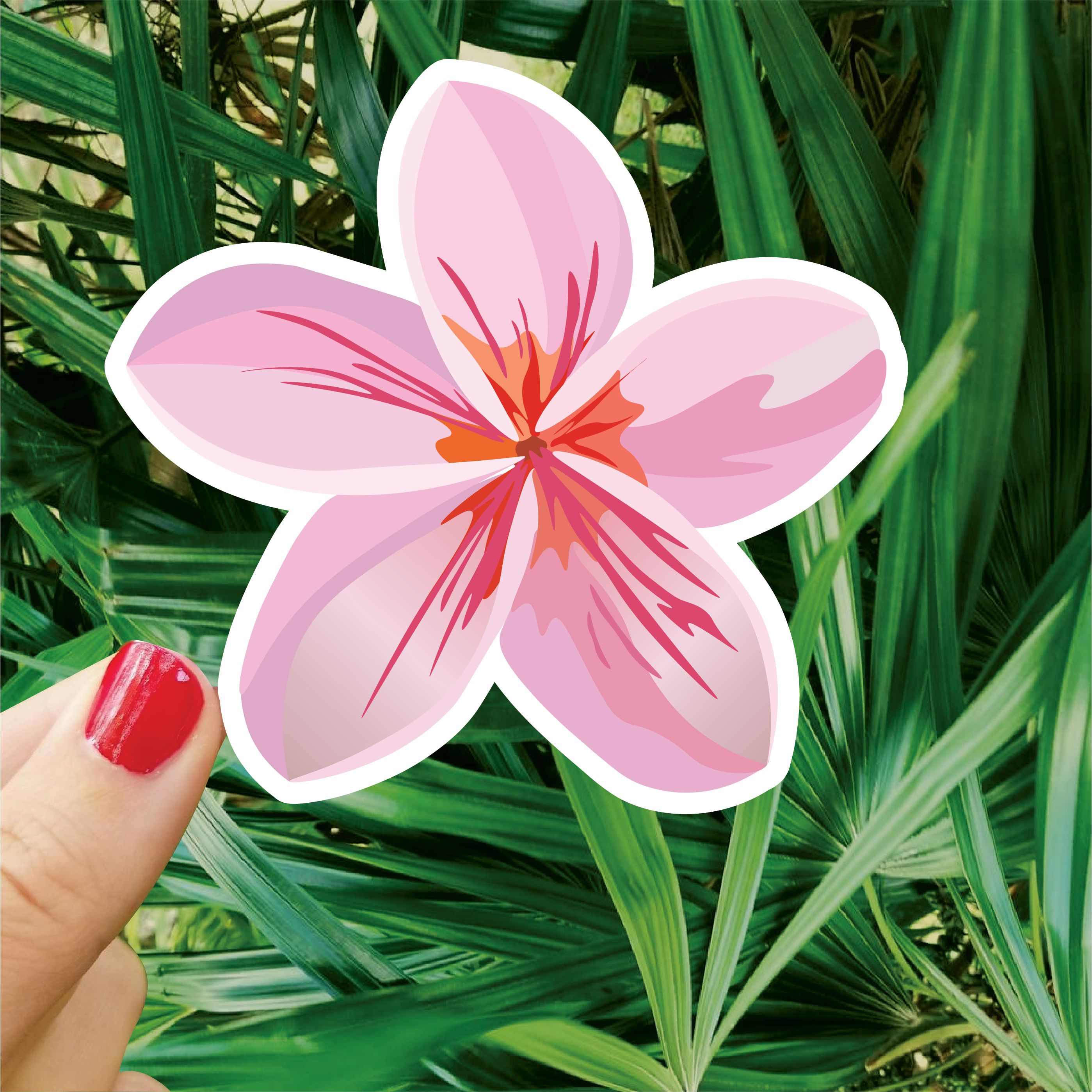 Light Pink Plumeria Sticker