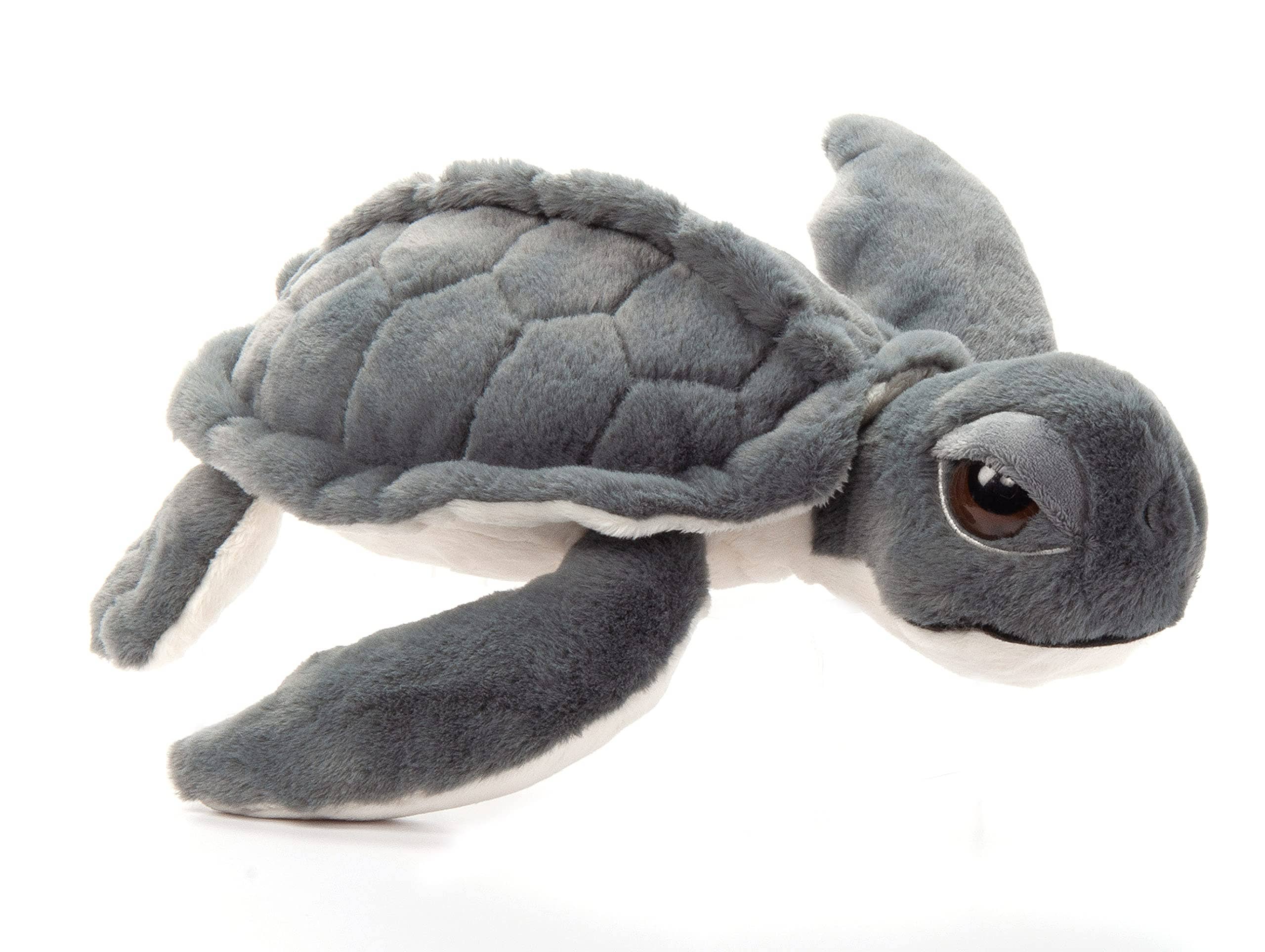 10" Gray Kemp Turtle Plush