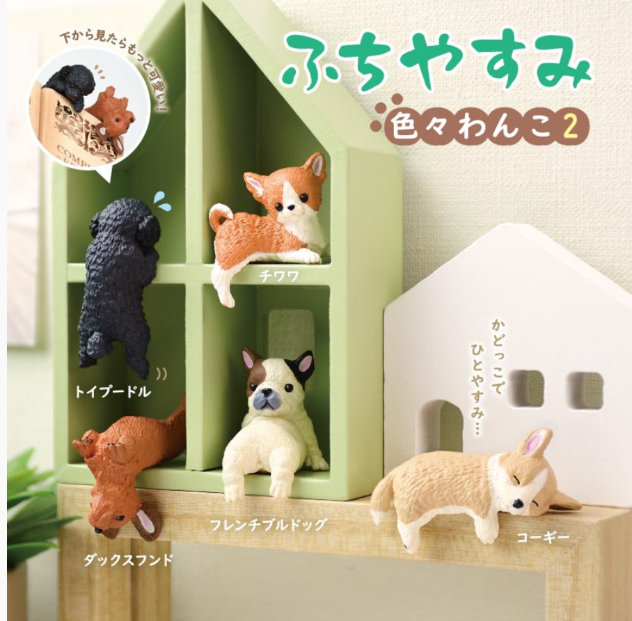 Surprise Box - Resting Dog