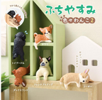 Surprise Box - Resting Dog