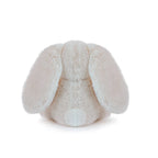 Little Ziggy Bunny Oatmeal