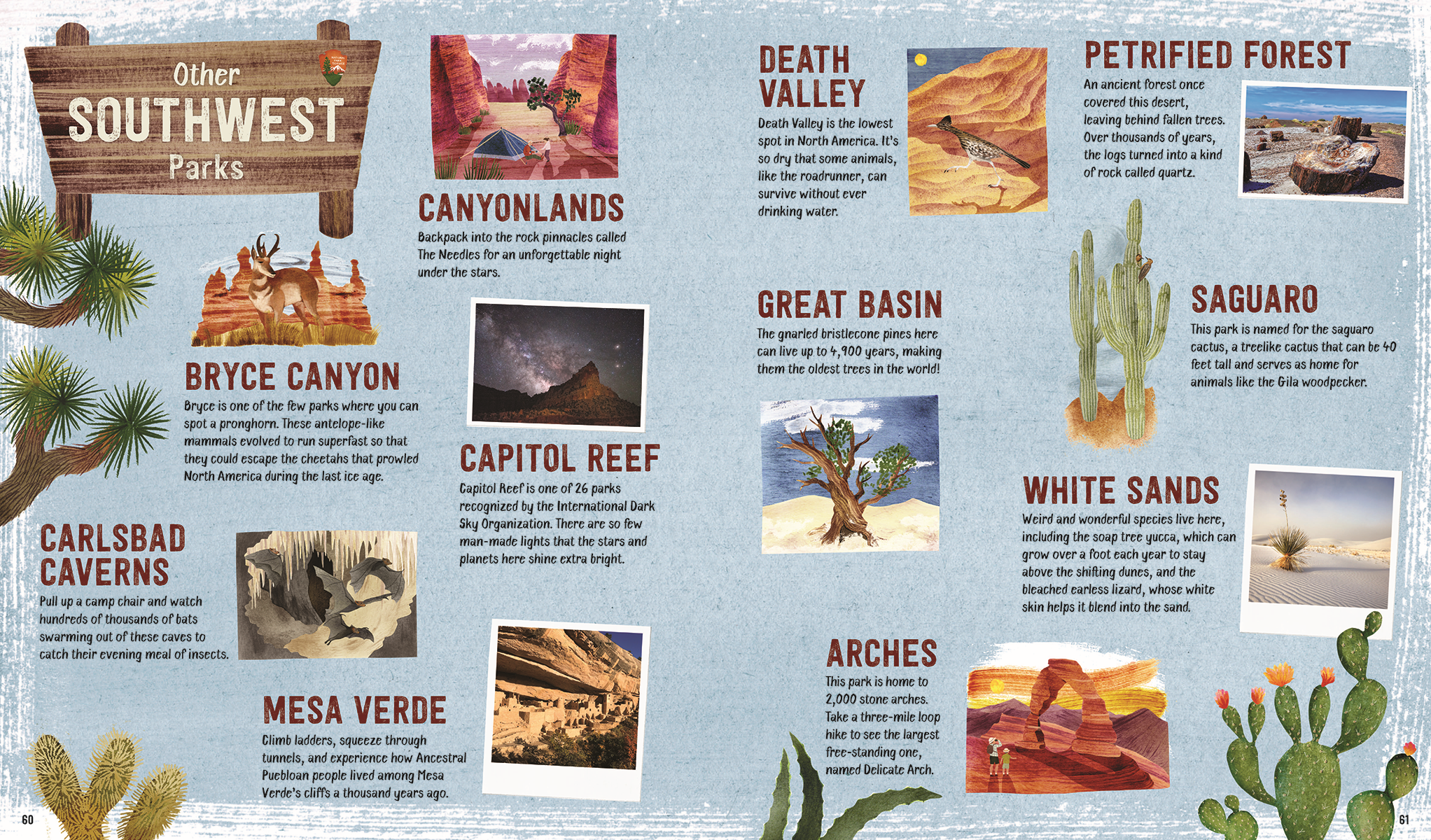 Explore! America's National Parks