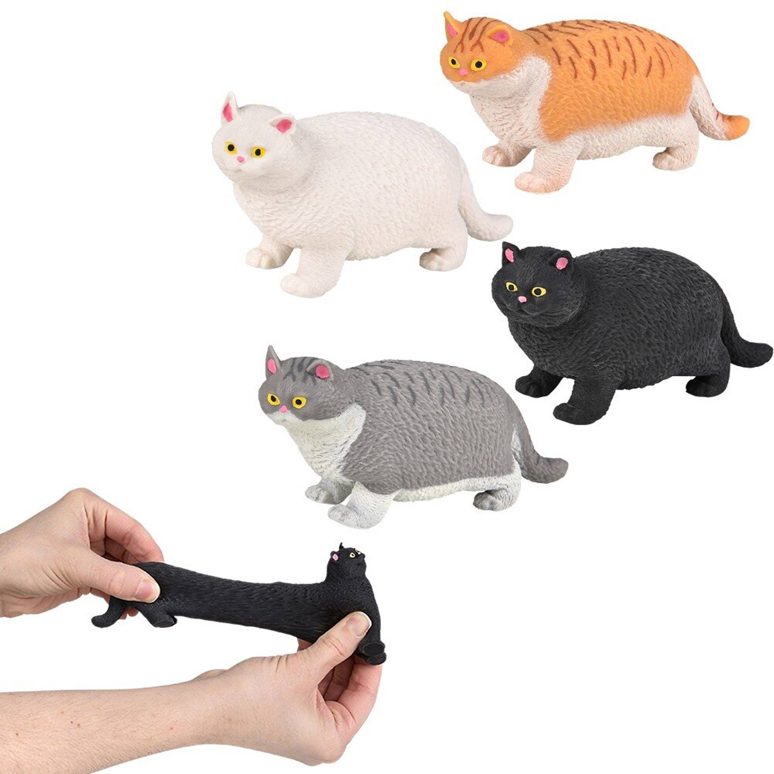 Cat Soft Squeeze