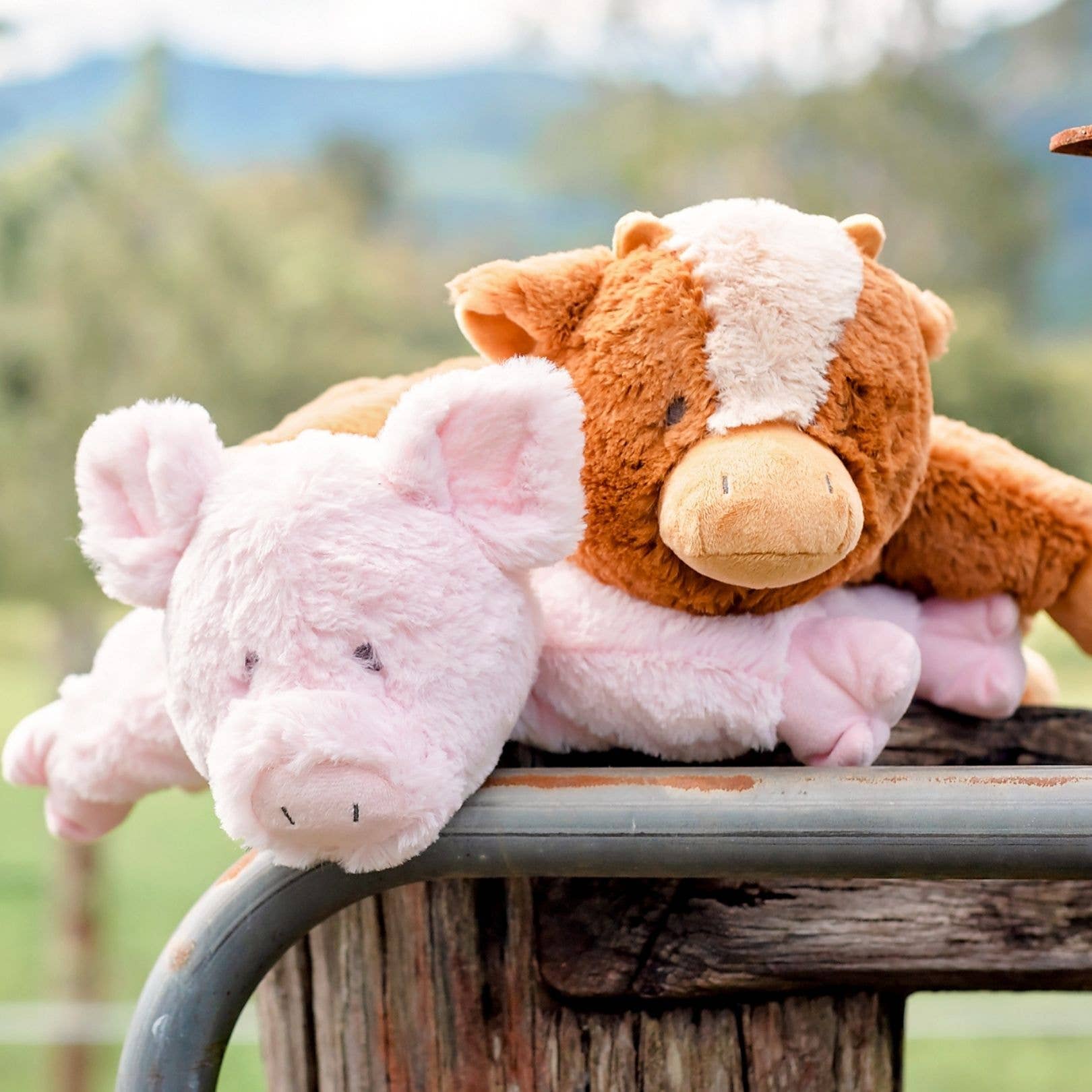 Billy Cow Soft Toy