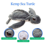 10" Gray Kemp Turtle Plush