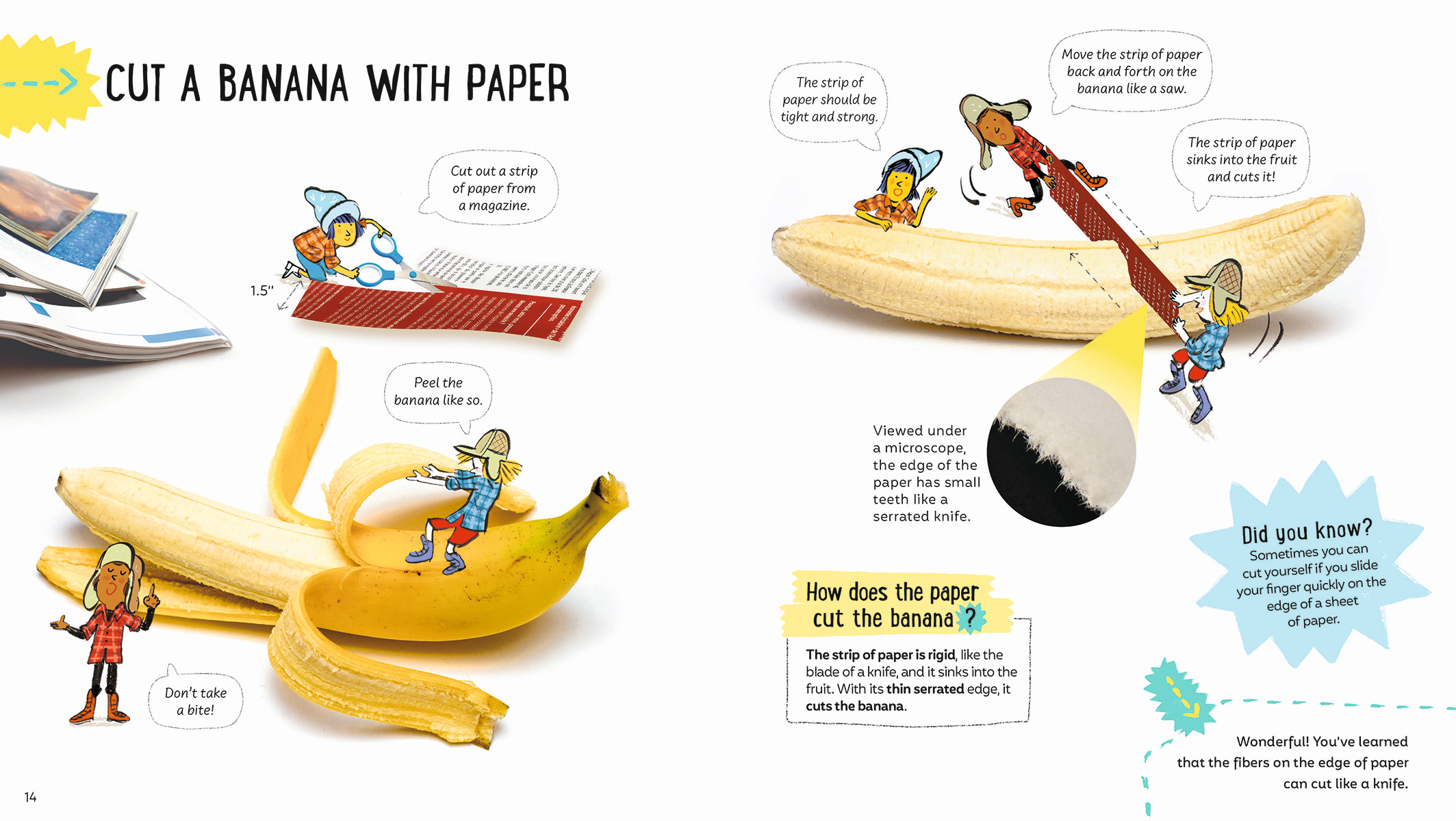 There's Science in Paper