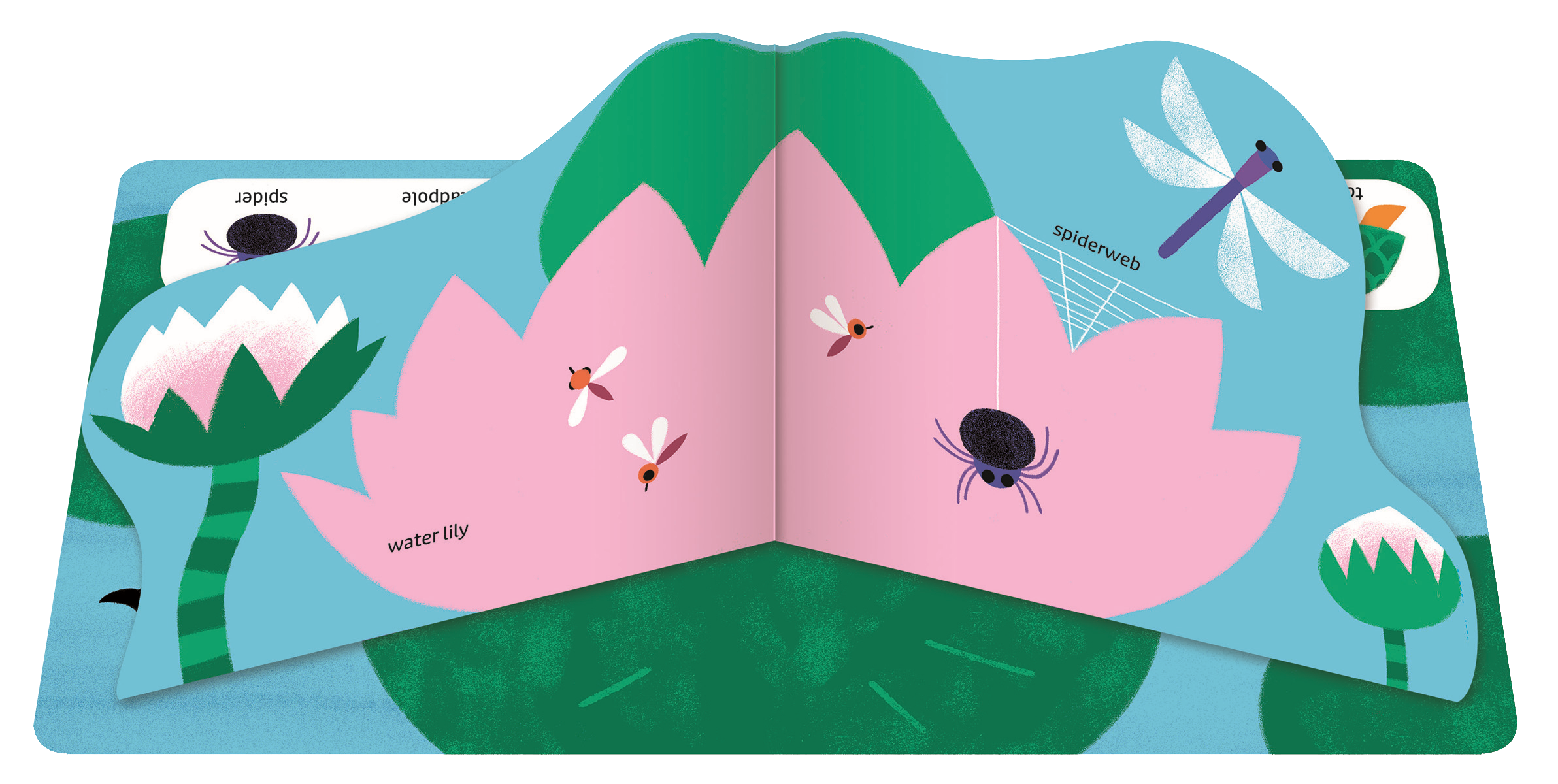 Pop Pop Pop: Bugs and Other Small Things