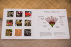 Ka Lehua: Hawaiian Book