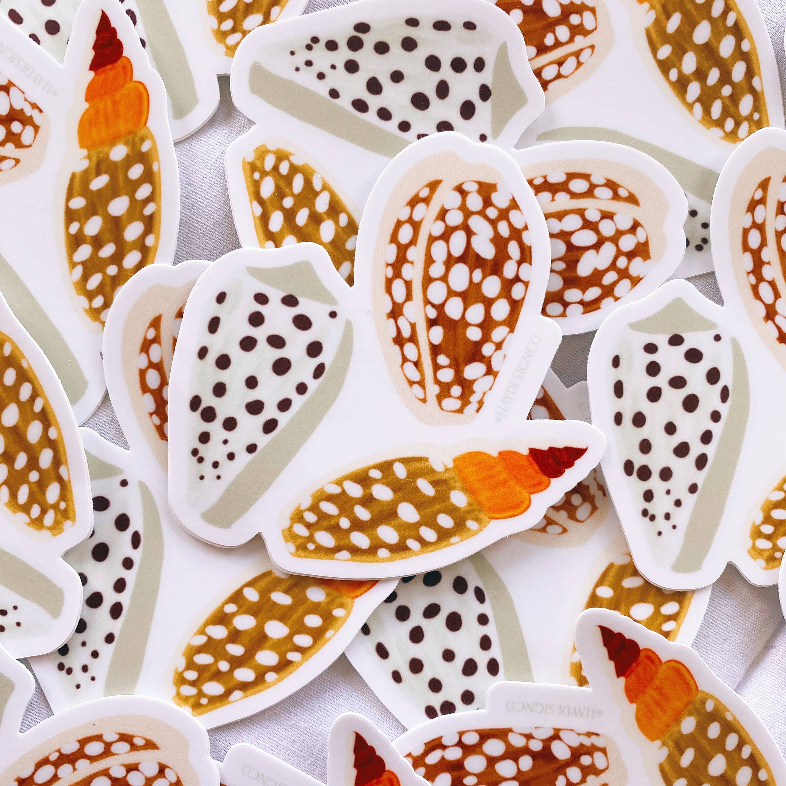 Cowrie Shell Sticker