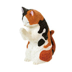 Surprise Box - Prayer Cat