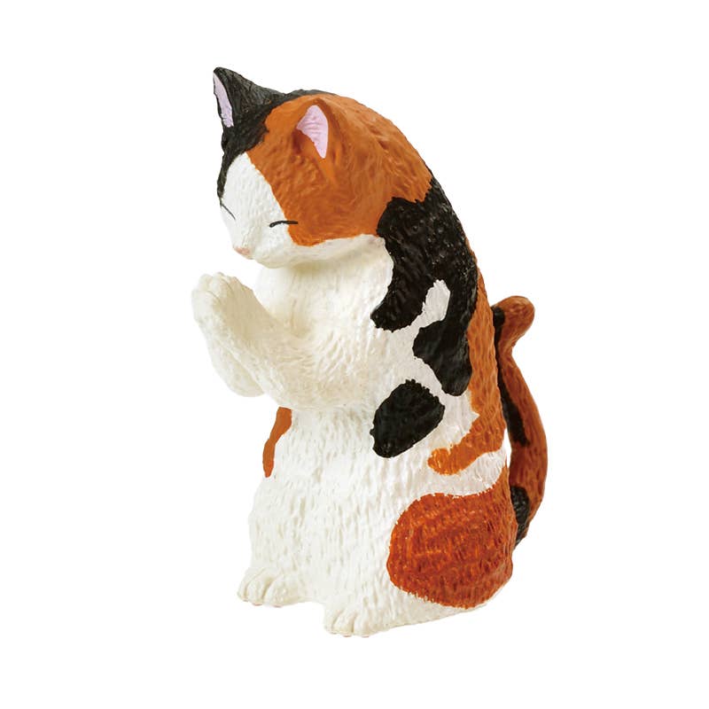 Surprise Box - Prayer Cat