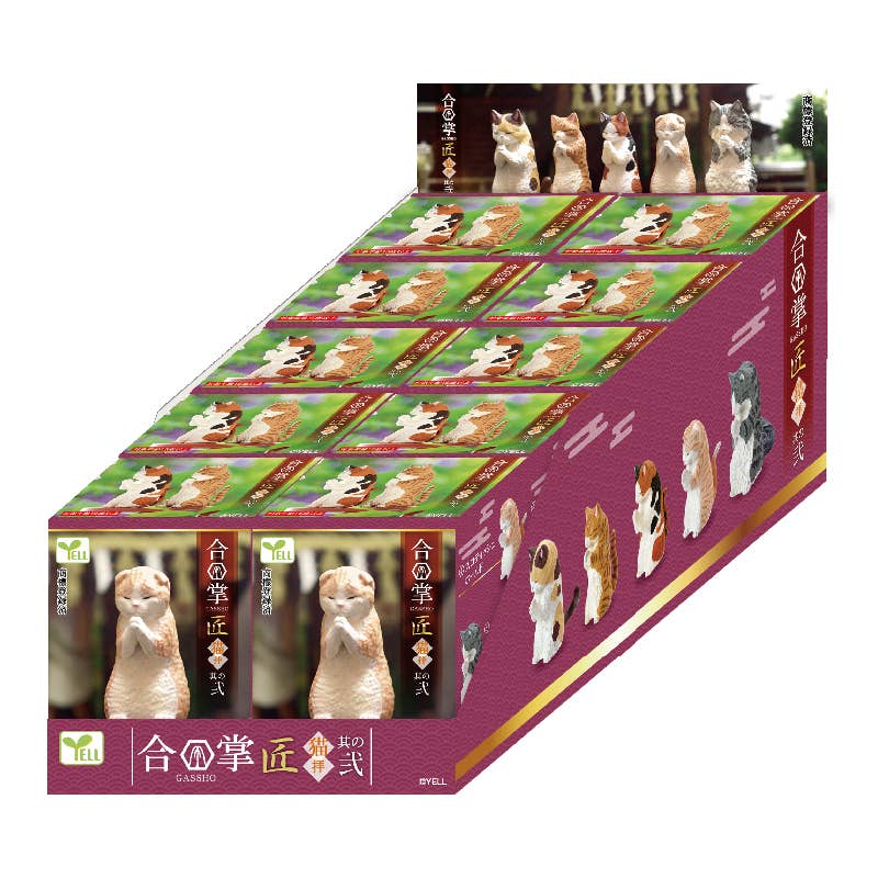 Surprise Box - Prayer Cat