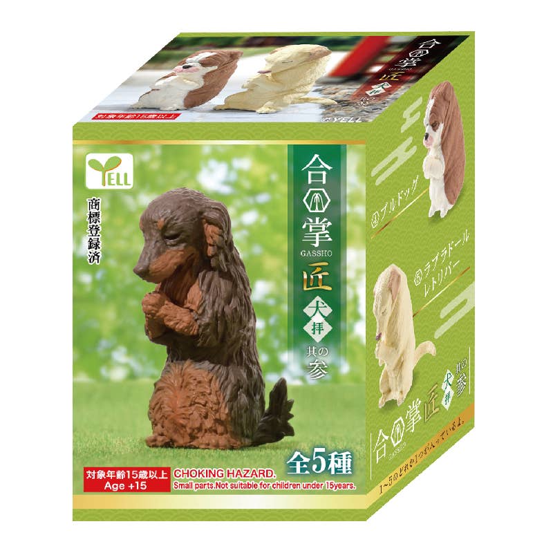 Surprise Box - Prayer Dog
