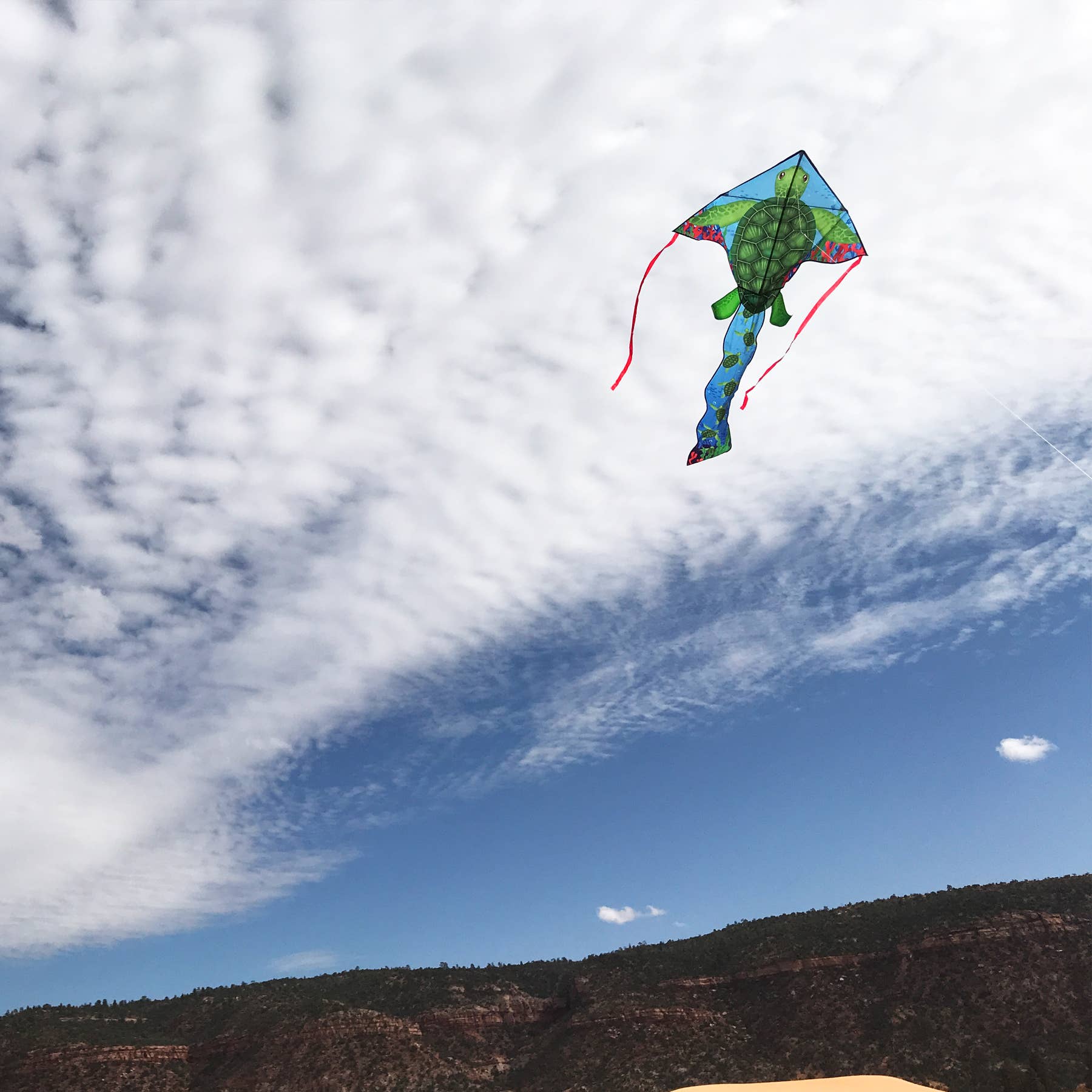 Sea Turtle 45" Fly-Hi Kite