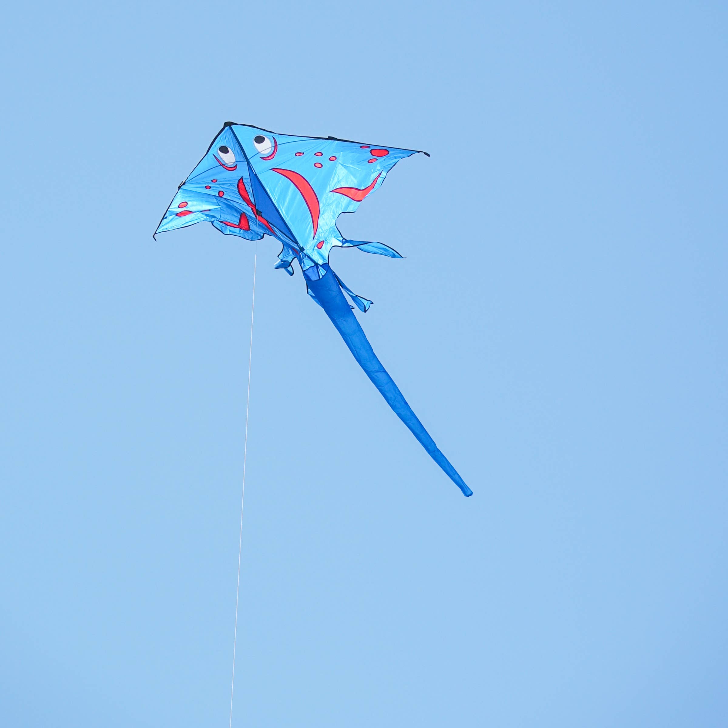 Blue Stingray Kite